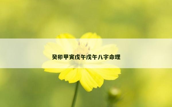 癸卯甲寅戊午戊午八字命理