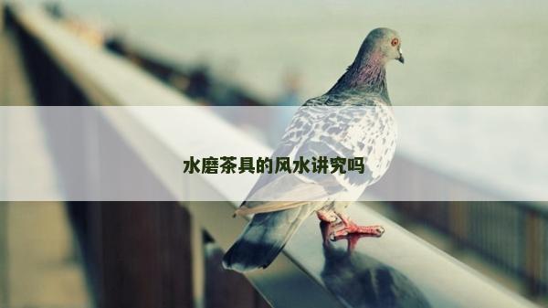 水磨茶具的风水讲究吗