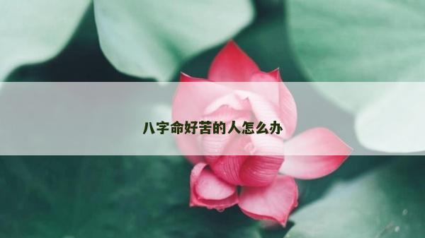 八字命好苦的人怎么办