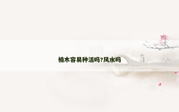 楠木容易种活吗?风水吗
