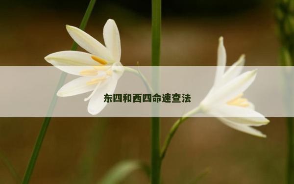东四和西四命速查法