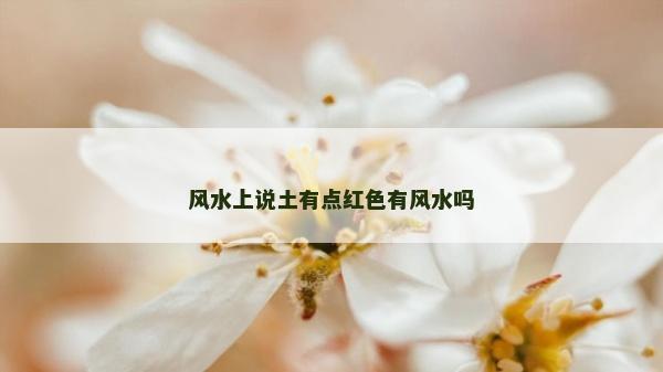 风水上说土有点红色有风水吗