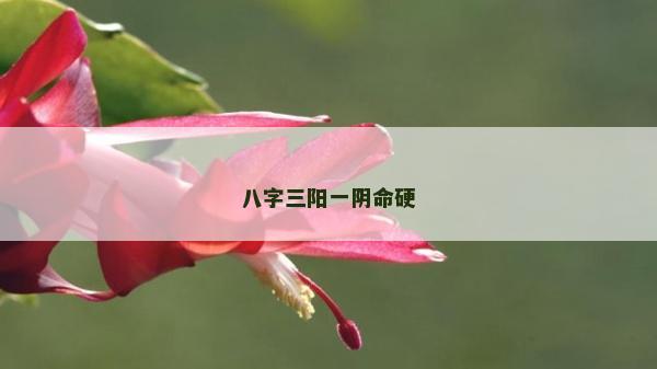 八字三阳一阴命硬