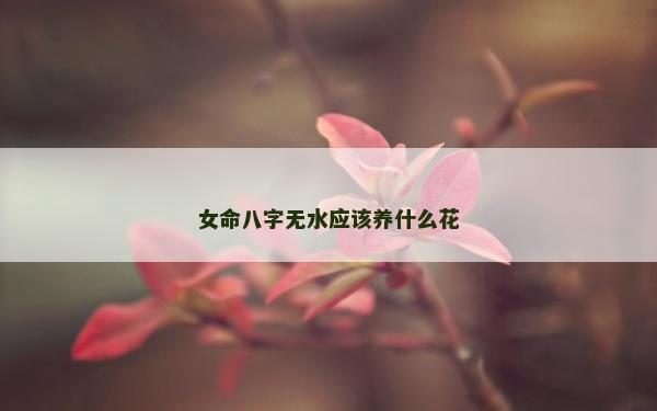 女命八字无水应该养什么花