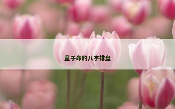童子命的八字排盘