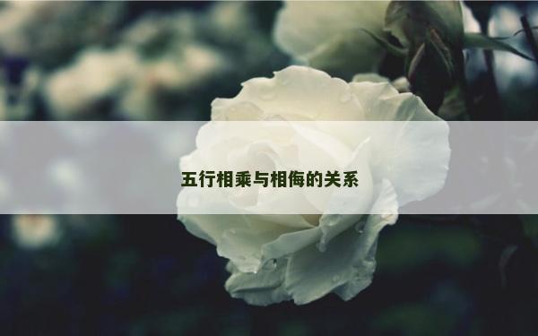 五行相乘与相侮的关系