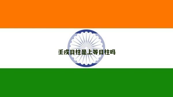 壬戌日柱是上等日柱吗