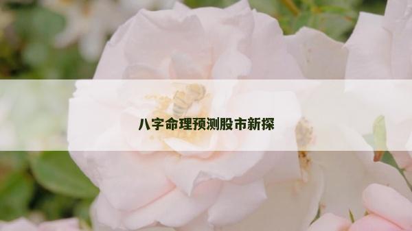 八字命理预测股市新探