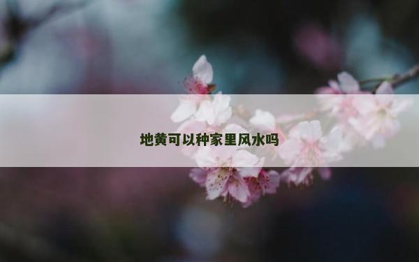 地黄可以种家里风水吗