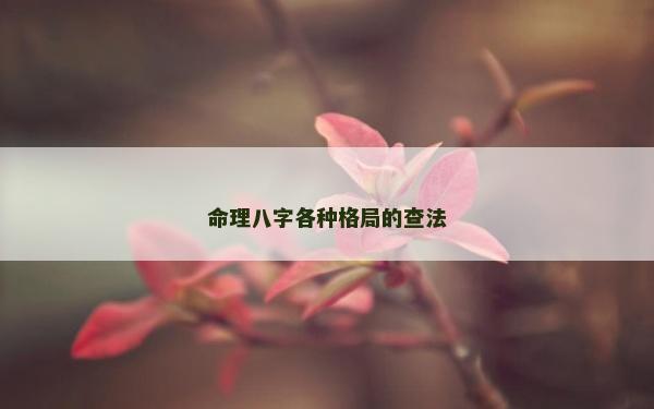 命理八字各种格局的查法
