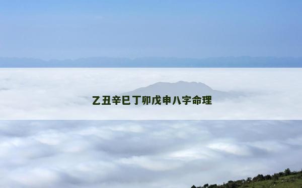 乙丑辛巳丁卯戊申八字命理