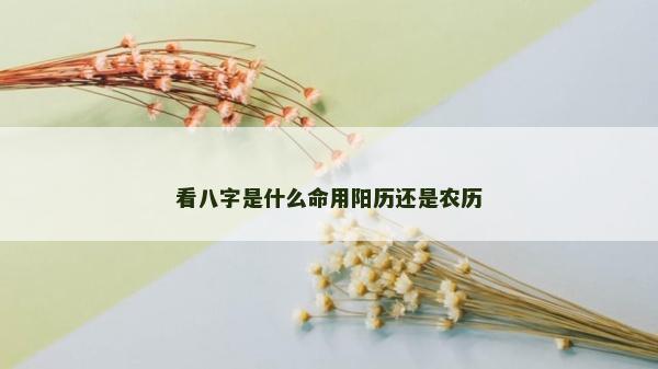 看八字是什么命用阳历还是农历