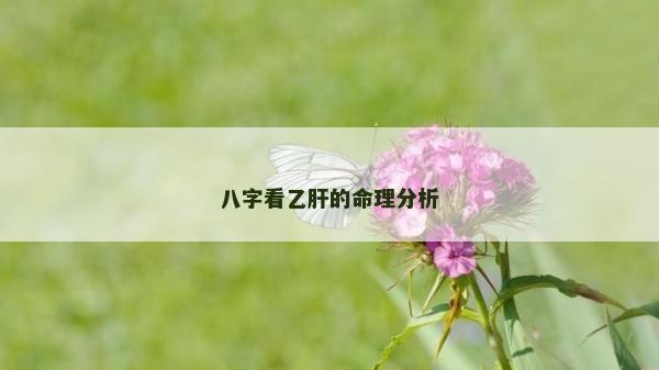 八字看乙肝的命理分析