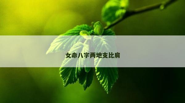 女命八字两地支比肩