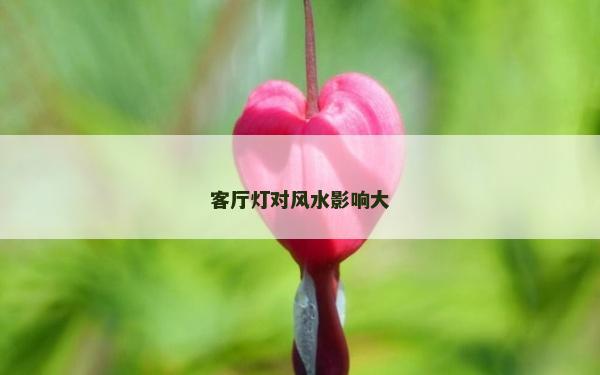 客厅灯对风水影响大