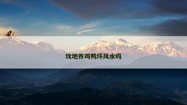 坟地养鸡鸭坏风水吗