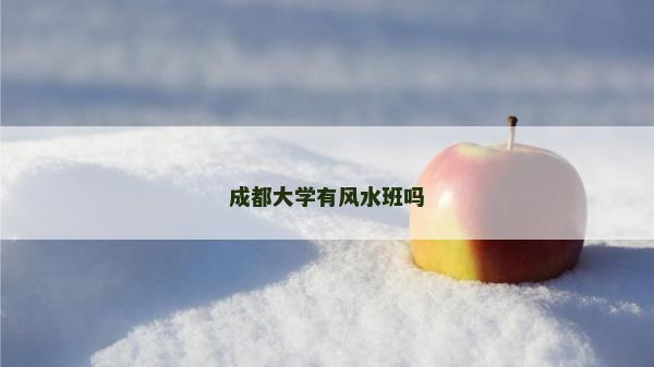 成都大学有风水班吗