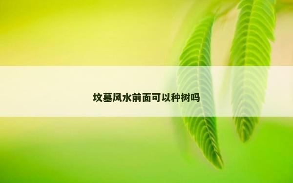 坟墓风水前面可以种树吗