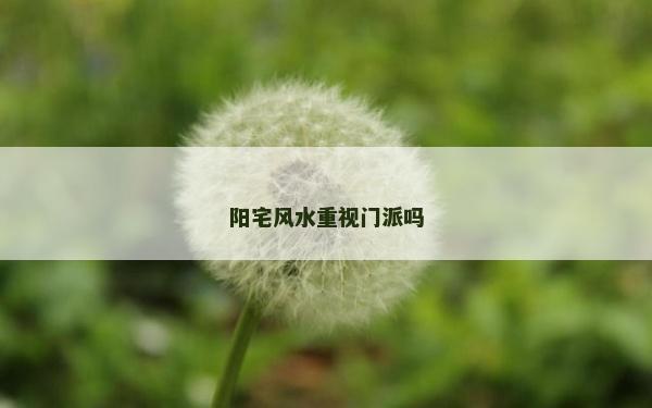 阳宅风水重视门派吗