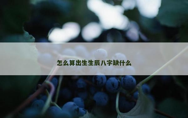 怎么算出生生辰八字缺什么