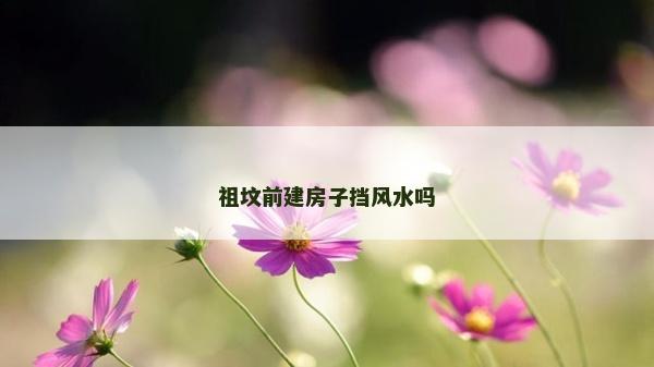 祖坟前建房子挡风水吗
