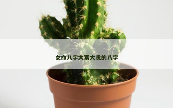 女命八字大富大贵的八字