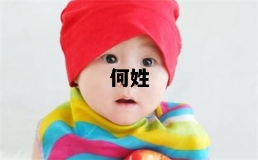何姓取名优美大方的男宝宝名字