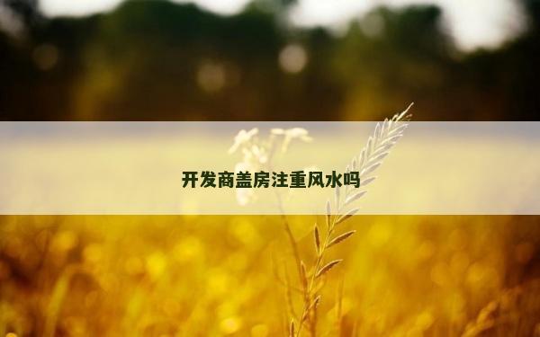开发商盖房注重风水吗
