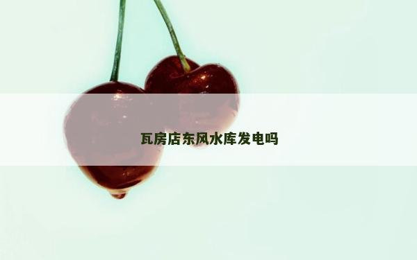 瓦房店东风水库发电吗