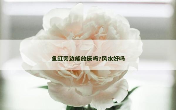 鱼缸旁边能放床吗?风水好吗