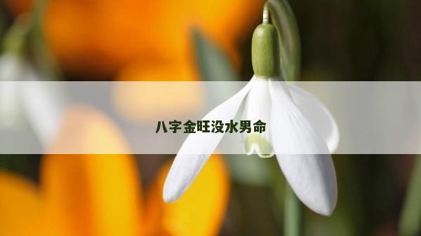 八字金旺没水男命