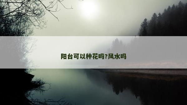 阳台可以种花吗?风水吗