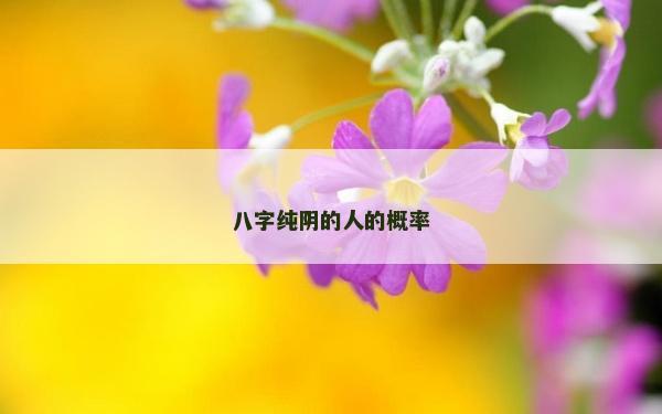 八字纯阴的人的概率