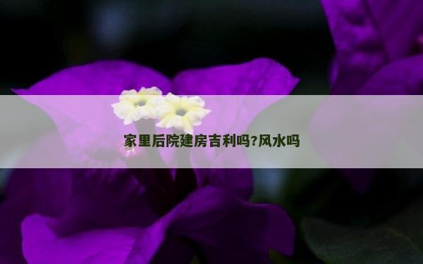 家里后院建房吉利吗?风水吗