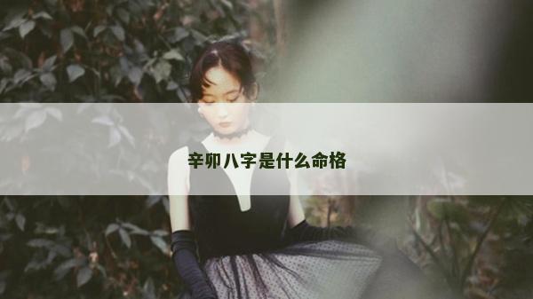 辛卯八字是什么命格