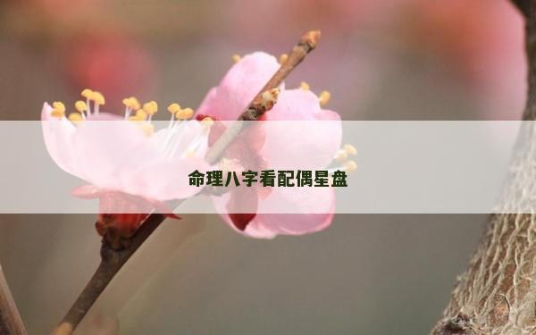 命理八字看配偶星盘