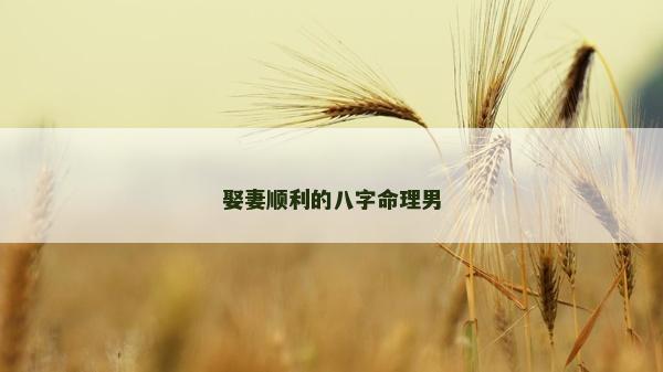 娶妻顺利的八字命理男