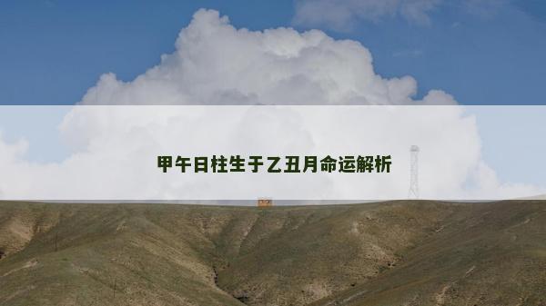 甲午日柱生于乙丑月命运解析
