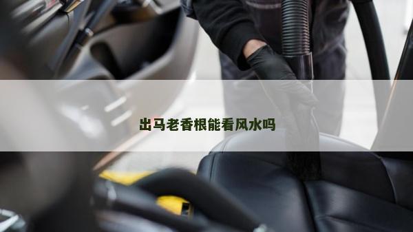 出马老香根能看风水吗