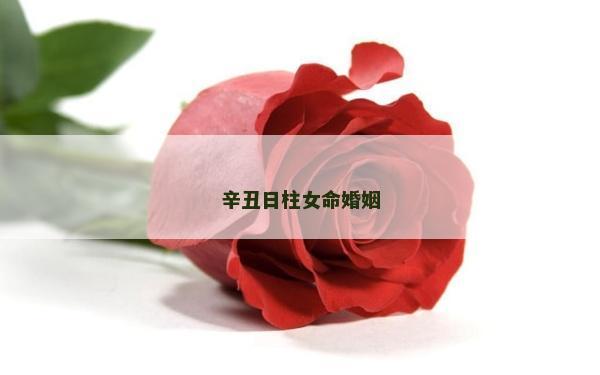 辛丑日柱女命婚姻