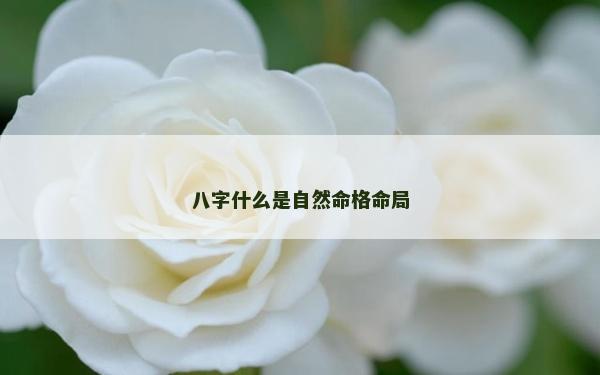 八字什么是自然命格命局