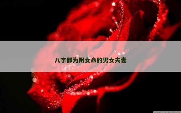 八字都为阴女命的男女夫妻