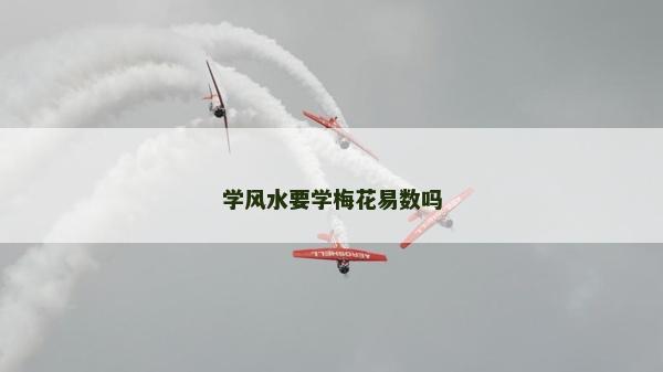 学风水要学梅花易数吗