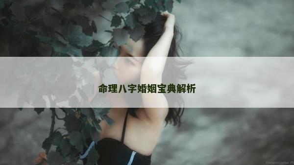 命理八字婚姻宝典解析
