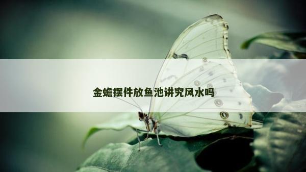 金蟾摆件放鱼池讲究风水吗