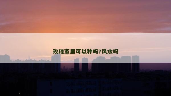 玫瑰家里可以种吗?风水吗