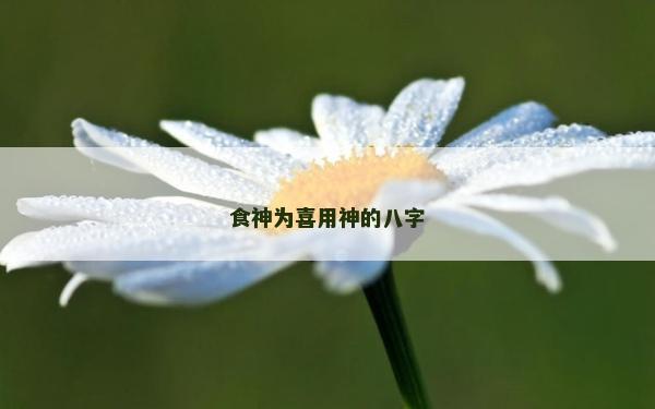 食神为喜用神的八字
