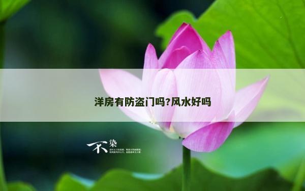 洋房有防盗门吗?风水好吗
