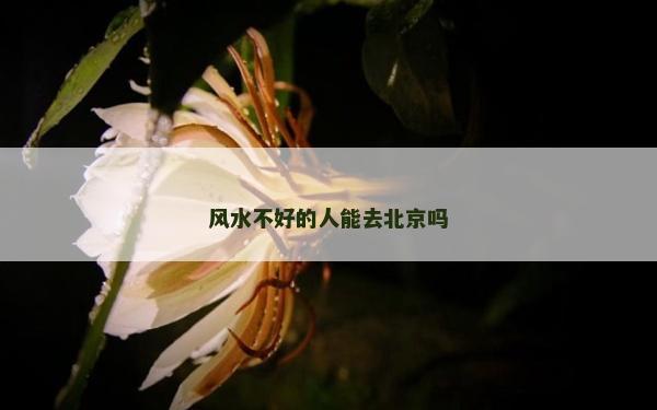 风水不好的人能去北京吗