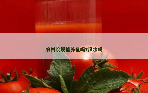 农村院坝能养鱼吗?风水吗